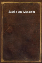 Saddle and Mocassin