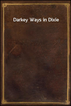 Darkey Ways in Dixie