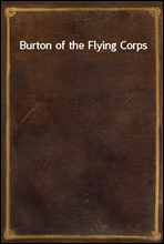 Burton of the Flying Corps