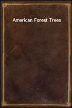 American Forest Trees