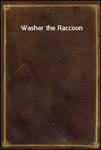 Washer the Raccoon