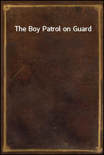 The Boy Patrol on Guard