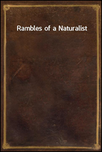 Rambles of a Naturalist