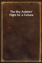 The Boy Aviators` Flight for a Fortune
