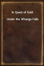 In Quest of GoldUnder the Whanga Falls