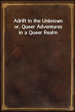 Adrift in the Unknownor, Queer Adventures in a Queer Realm
