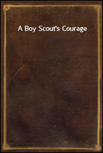 A Boy Scout's Courage