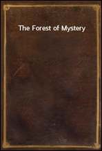 The Forest of Mystery