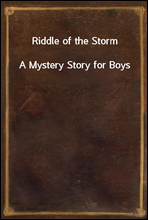 Riddle of the StormA Mystery Story for Boys
