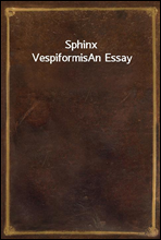 Sphinx VespiformisAn Essay