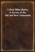 A Brief Bible HistoryA Survey of the Old and New Testaments