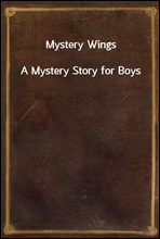 Mystery WingsA Mystery Story for Boys