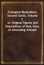 Zoological Illustrations, Second Series, Volume 1or, Original Figures and Descriptions of New, Rare, or Interesting Animals