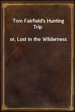 Tom Fairfield's Hunting Tripor, Lost in the Wilderness