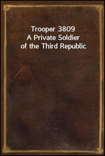 Trooper 3809A Private Soldier of the Third Republic