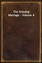 The Amazing Marriage - Volume 4