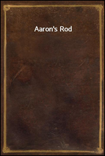 Aaron`s Rod
