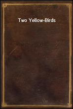 Two Yellow-Birds