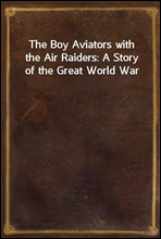 The Boy Aviators with the Air Raiders