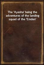 The `Ayesha` being the adventures of the landing squad of the `Emden`