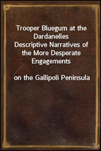 Trooper Bluegum at the DardanellesDescriptive Narratives of the More Desperate Engagementson the Gallipoli Peninsula