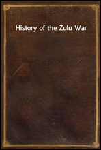 History of the Zulu War