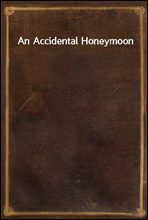 An Accidental Honeymoon