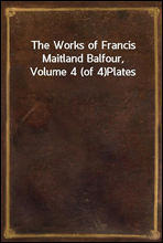 The Works of Francis Maitland Balfour, Volume 4 (of 4)Plates