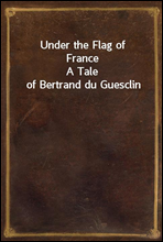 Under the Flag of FranceA Tale of Bertrand du Guesclin
