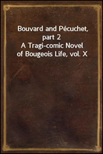 Bouvard and Pecuchet, part 2A Tragi-comic Novel of Bougeois Life, vol. X