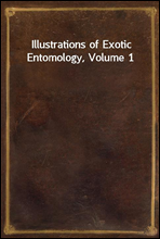 Illustrations of Exotic Entomology, Volume 1