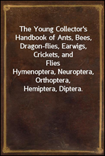 The Young Collector's Handbook of Ants, Bees, Dragon-flies, Earwigs, Crickets, and FliesHymenoptera, Neuroptera, Orthoptera, Hemiptera, Diptera.