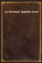 La GaviotaA Spanish novel