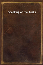 Speaking of the Turks