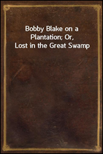 Bobby Blake on a Plantation; Or, Lost in the Great Swamp