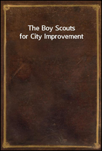 The Boy Scouts for City Improvement