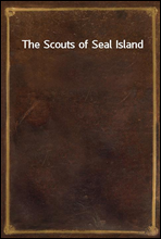 The Scouts of Seal Island