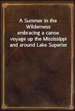 A Summer in the Wildernessembracing a canoe voyage up the Mississippi and around Lake Superior