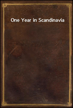 One Year in Scandinavia