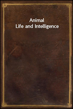 Animal Life and Intelligence