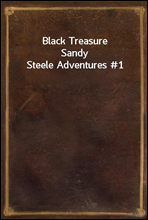 Black TreasureSandy Steele Adventures #1