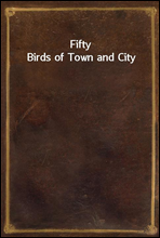 Fifty Birds of Town and City