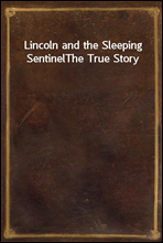 Lincoln and the Sleeping SentinelThe True Story
