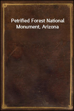 Petrified Forest National Monument, Arizona