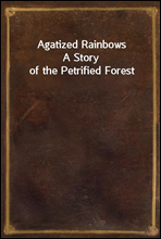 Agatized RainbowsA Story of the Petrified Forest