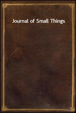 Journal of Small Things