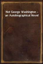 Not George Washington - an Autobiographical Novel